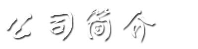 ˾